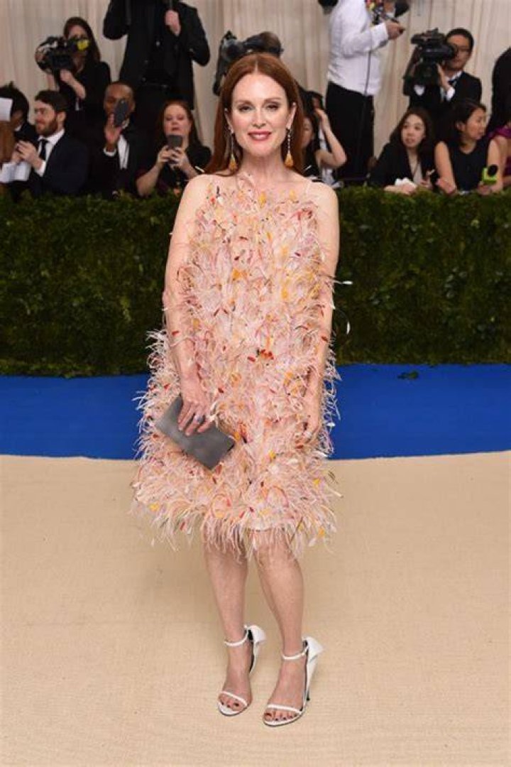 2017 Met Ball’s Feathers Trend — Blake Lively, Sarah Paulson & More