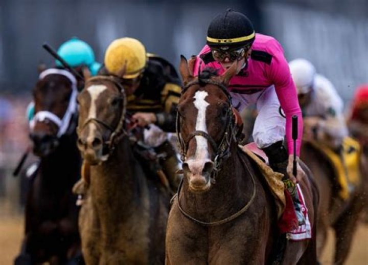 2019 Preakness Stakes — PICS