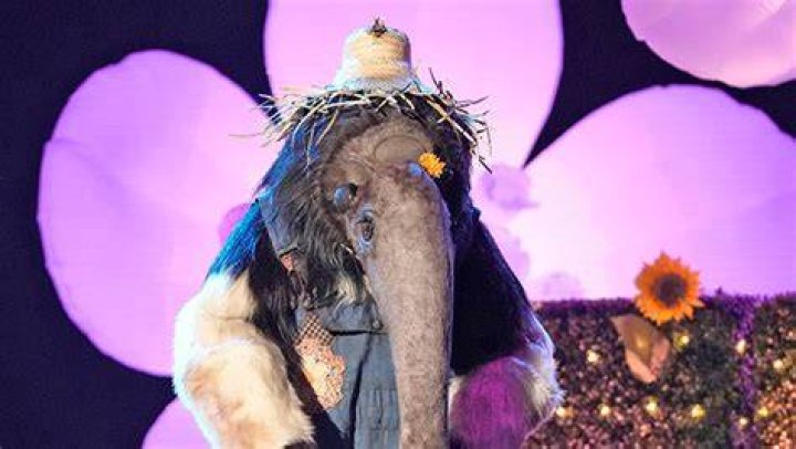 A New Anteater Clue Is Revealed – Hollywood Life
