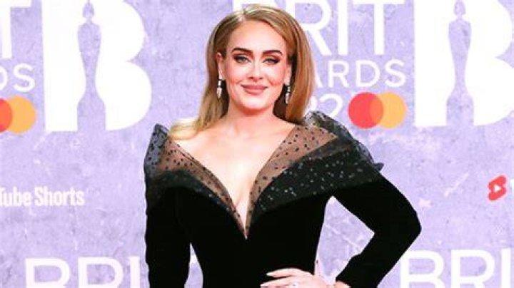 Adele Twerks In Sheer Gown At London Show: Video – Hollywood Life