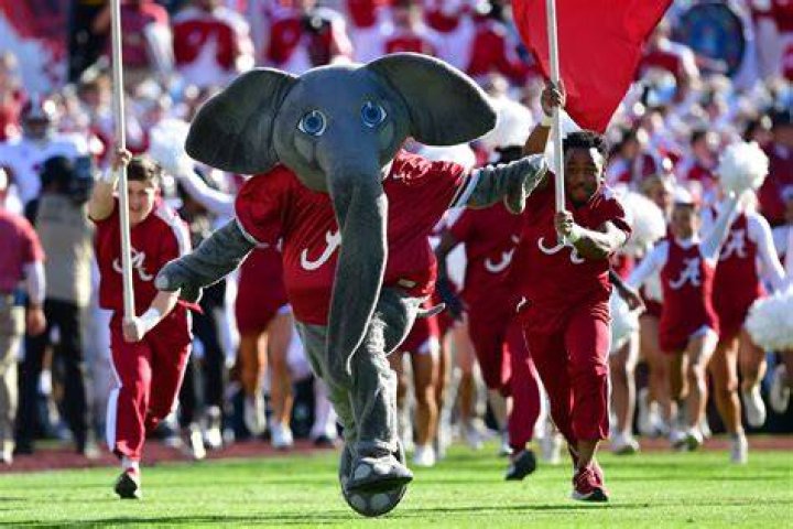 Alabama Crimson Tide — PICS