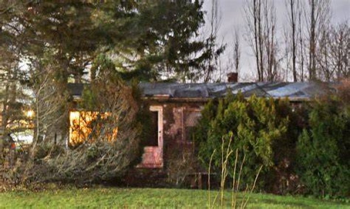 Alicia Witt’s Parents Found Dead In Massachusetts Home – Hollywood Life
