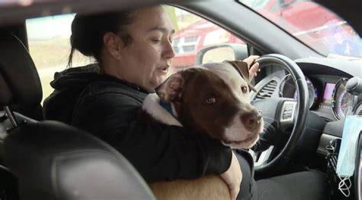 Alyssa Milano Saves Her Uncle’s Life After He Has Heart Attack While Driving On Freeway