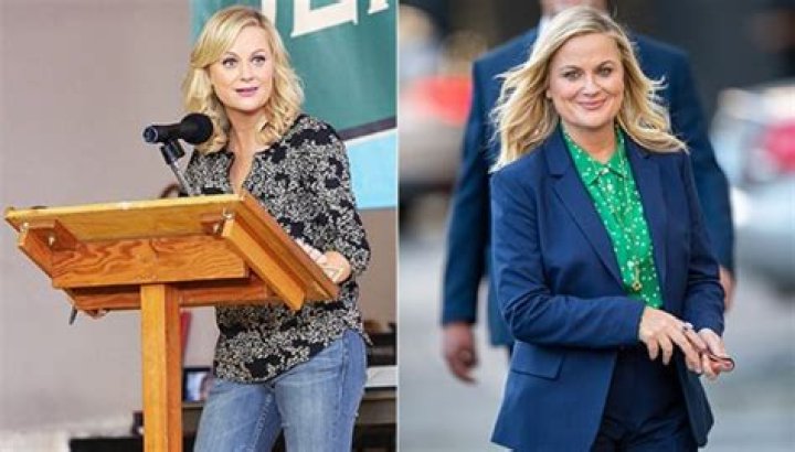 Amy Poehler Celebrity Profile – Hollywood Life