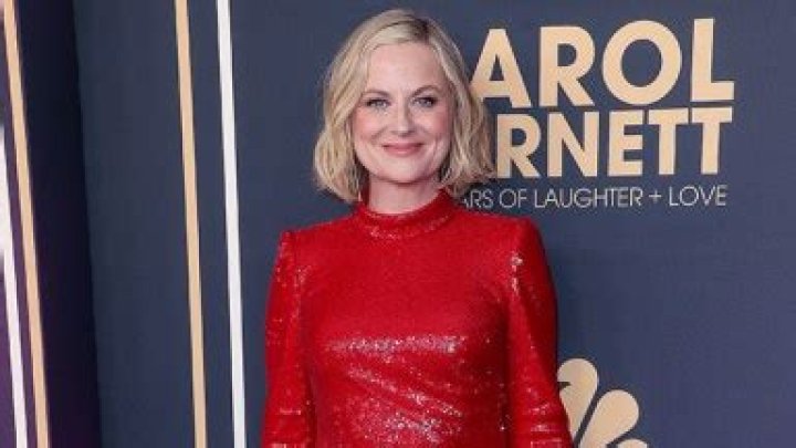 Amy Poehler Wears ‘Baywatch’ Red Swimsuit In New TikTok Video – Hollywood Life