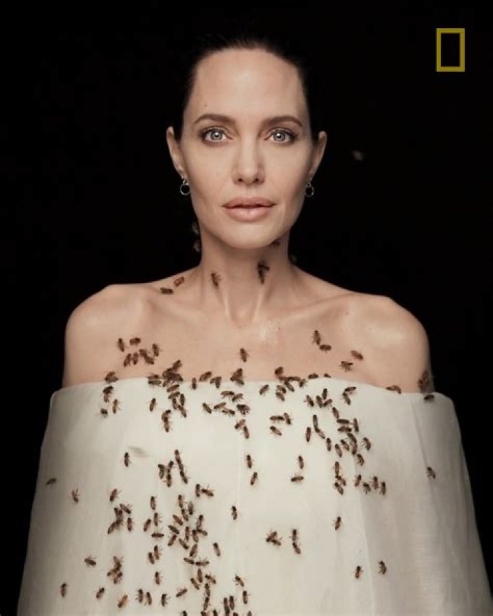 Angelina Jolie Gets Covered In Bees For Conservation Awareness — Watch – Hollywood Life