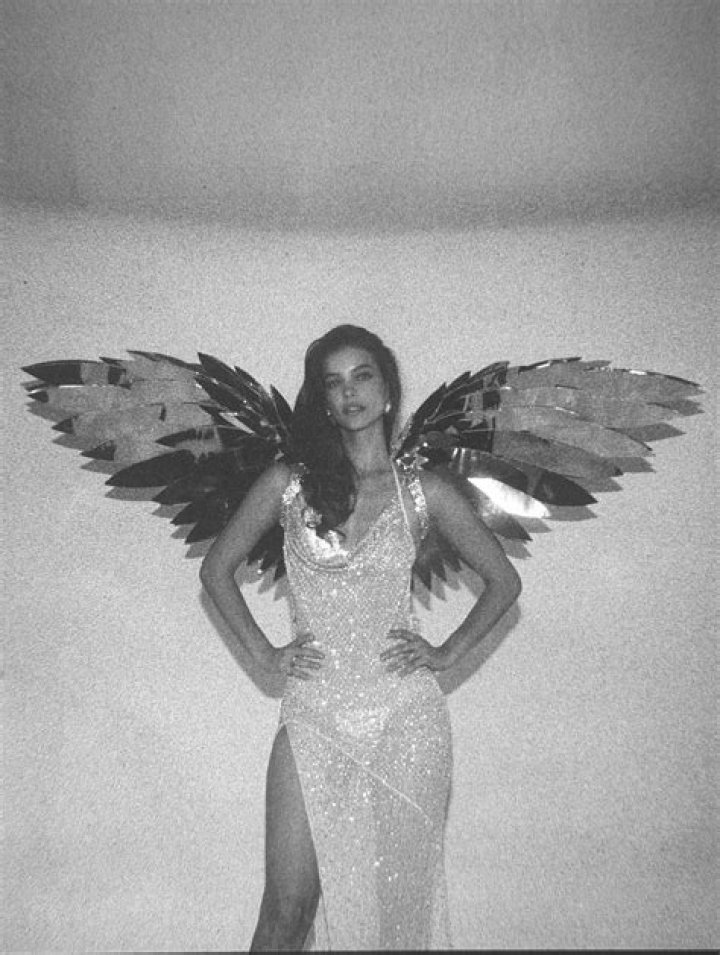 Barbara Palvin Is A VS Angel — PICS