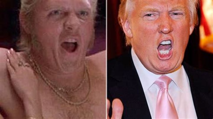 Biff Tannen Based Off Donald Trump — ‘Back To The Future’ Shocker – Hollywood Life