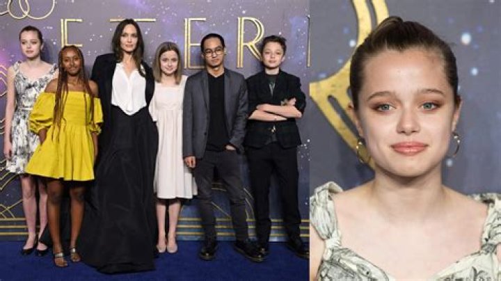 Brad Pitt & Angelina Jolie: Why It’s ‘Probable’ He’ll Keep Joint Custody Of 6 Kids — Lawyer Says