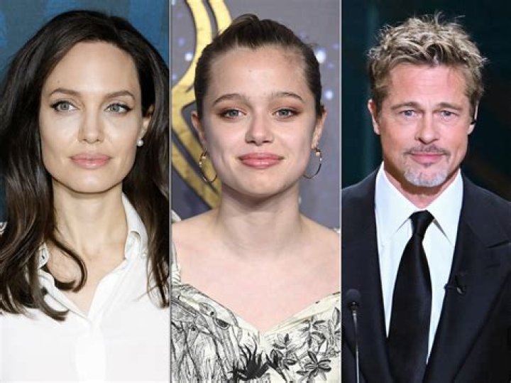 Brad Pitt’s Alcohol & Drugs History — How He’s Always Loved Partying – Hollywood Life
