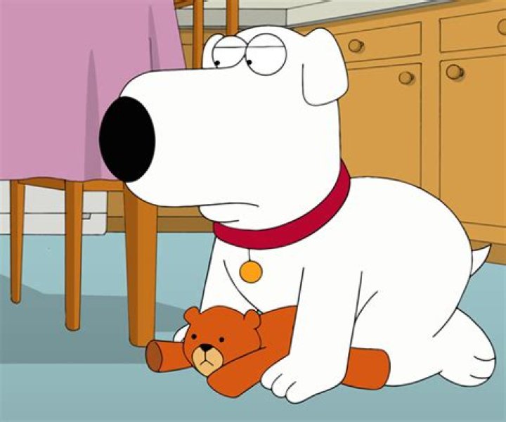 Brian Getting Spin-Off — First Details Revealed – Hollywood Life