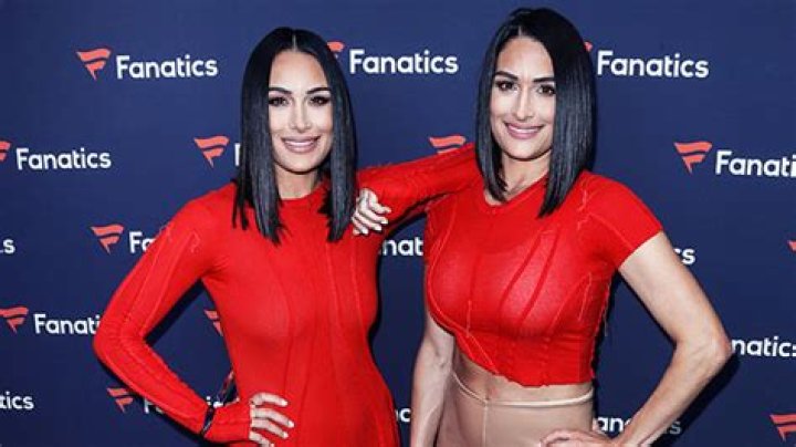 Brie Bella’s Son Confuses Her With Twin Sister Nikki Bella – Hollywood Life