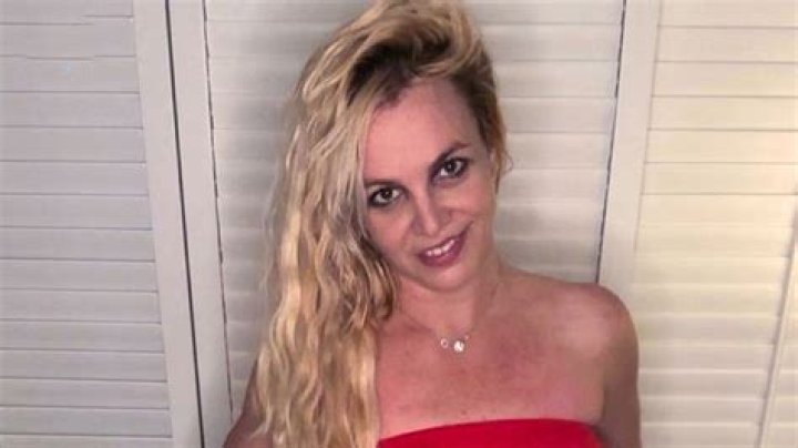 Britney Spears, 38, Shows Off Her Abs In Snakeskin Bikini With Giant Diamond Necklace — Pic