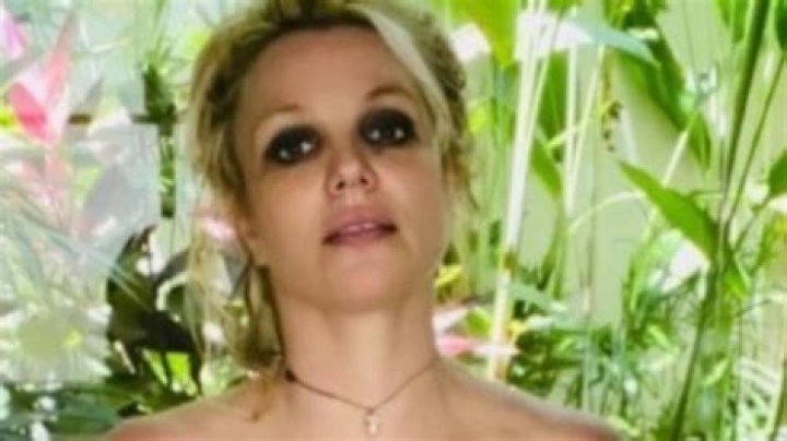 Britney Spears Poses Topless With Bikini Bottoms In Poolside Photos – Hollywood Life