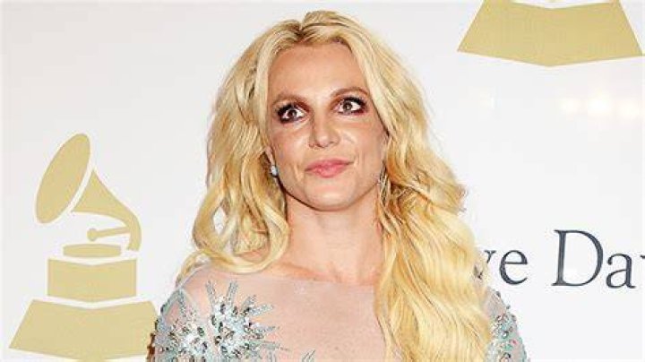 Britney Spears Returns To Instagram After Police Welfare Check – Hollywood Life