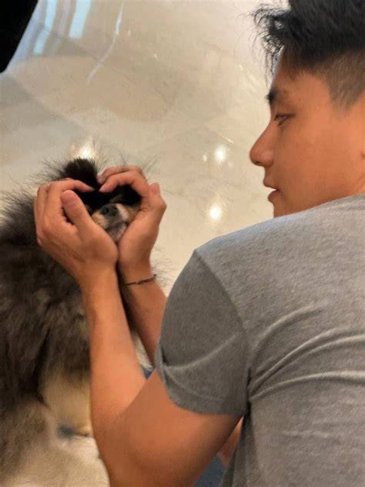 BTS’ Jimin Holds V’s Dog, Tannie’s Paws In His Hands & Fans Can’t Get Over The Cuteness