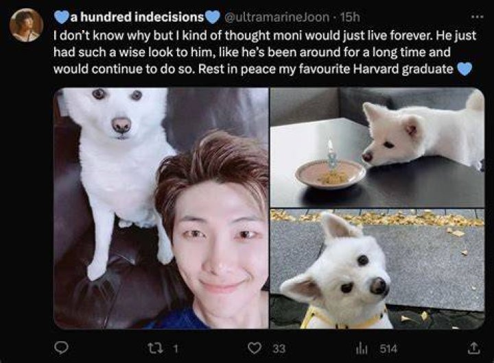 BTS’ RM Reunites WIth His Family Dog Moni In New Photos & Fans Can’t Handle The Cuteness
