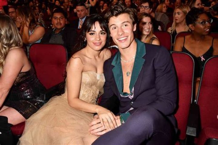 Camila Cabello Is Liking Shawn Mendes More & More: She’s Now Happy To Show It Publicly