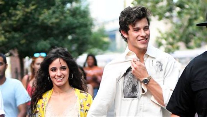 Camila Cabello Teases Shawn Mendes Lyrics In ‘Bam Bam’ – Hollywood Life