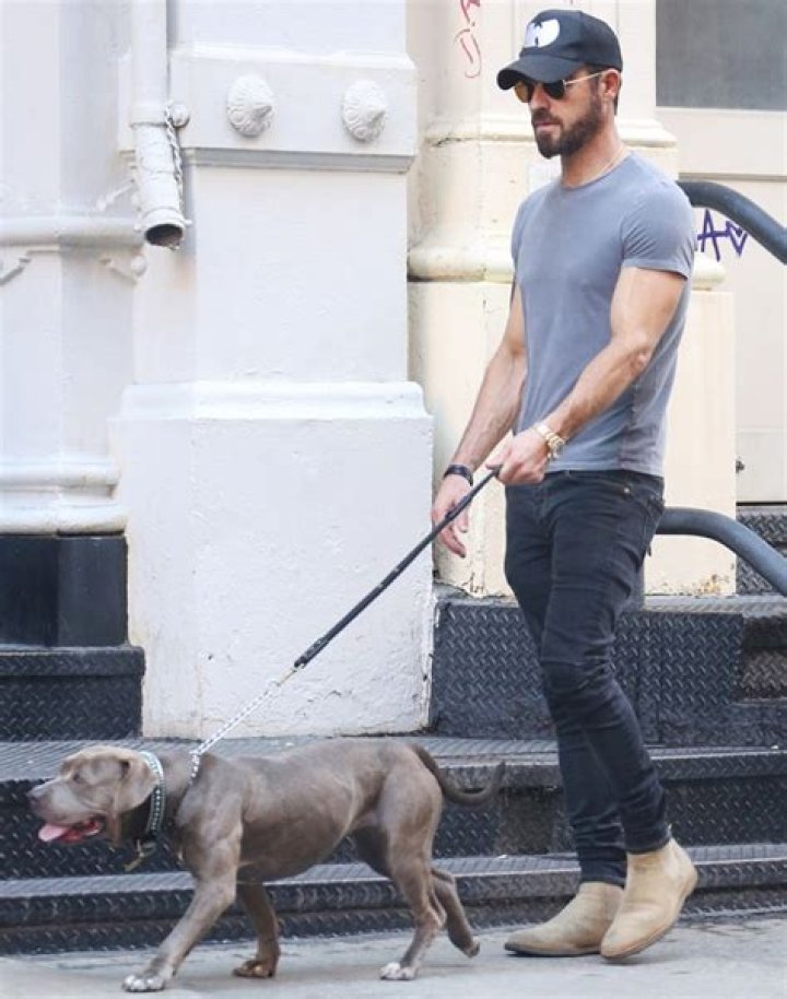 Celebrities Walking Their Dogs: Photos – Hollywood Life