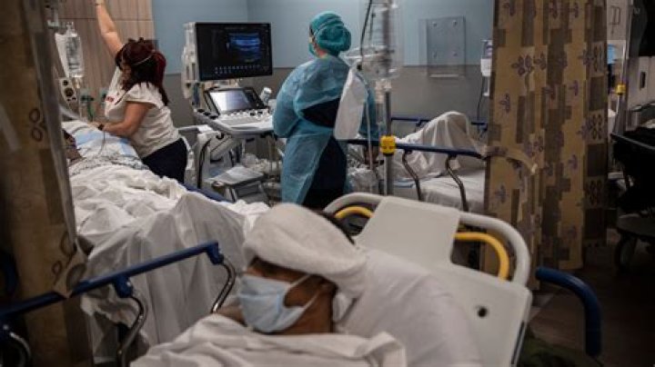 Celebrities Who Announced Pregnancies During Coronavirus Pandemic — Pics