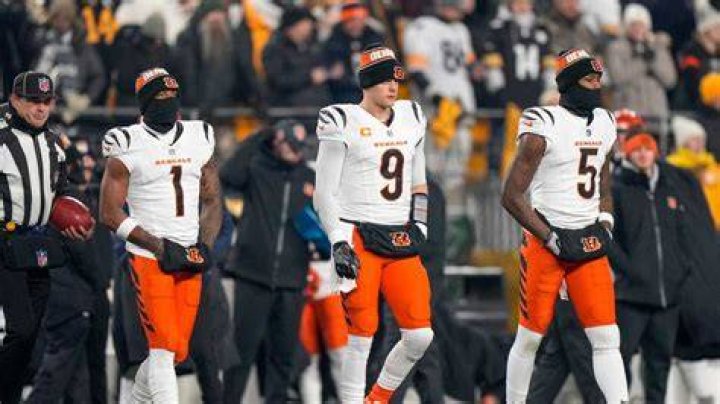 Celebrity Fans Of The Cincinnati Bengals – Hollywood Life