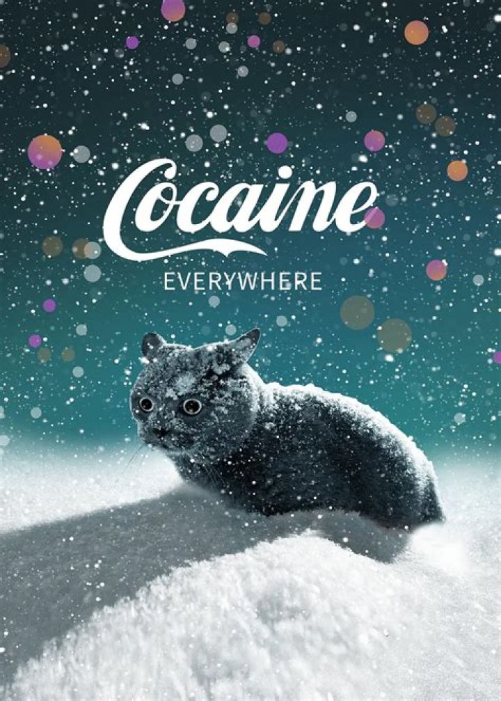 Chet Hanks Recalls Doing So Much Cocaine That ‘Cokeheads’ Told Him to ‘Chill’