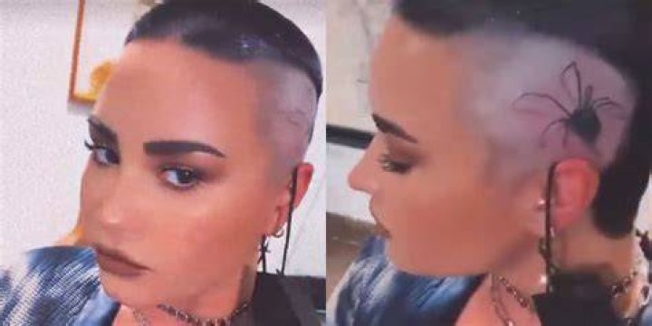 Demi Lovato’s Spider Tattoo On Skull: Video – Hollywood Life