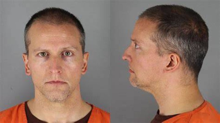 Derek Chauvin New Mugshots After Disgraced Cop Moves Prisons – Hollywood Life