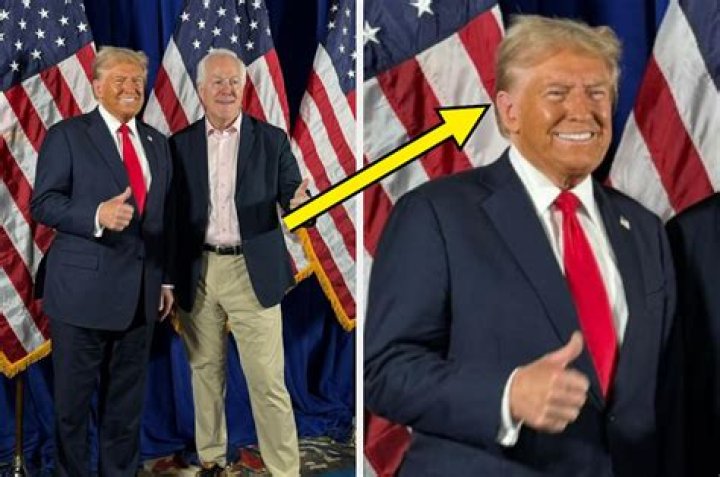 Donald Trump Shades Brad Pitt Over Oscars Speech & Says He Was ‘Never A Fan’ — ‘He’s A Wiseguy’