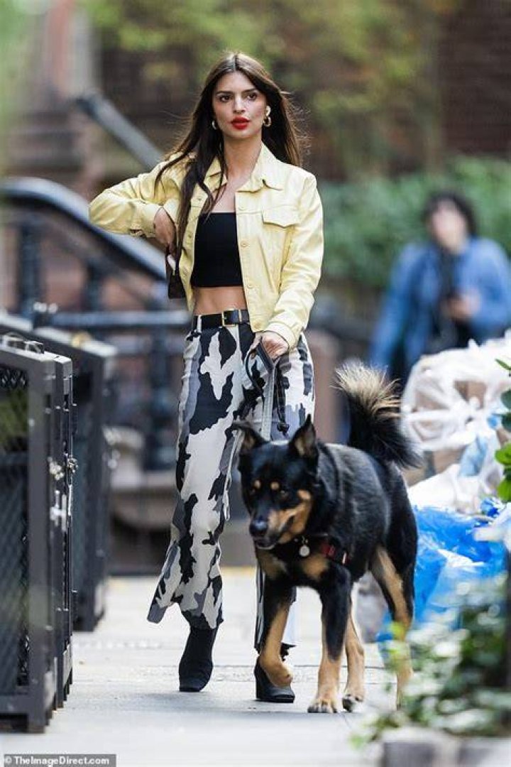 Emily Ratajkowski Reveals Toned Abs In Red Crop Top While Walking Her Dog In NYC
