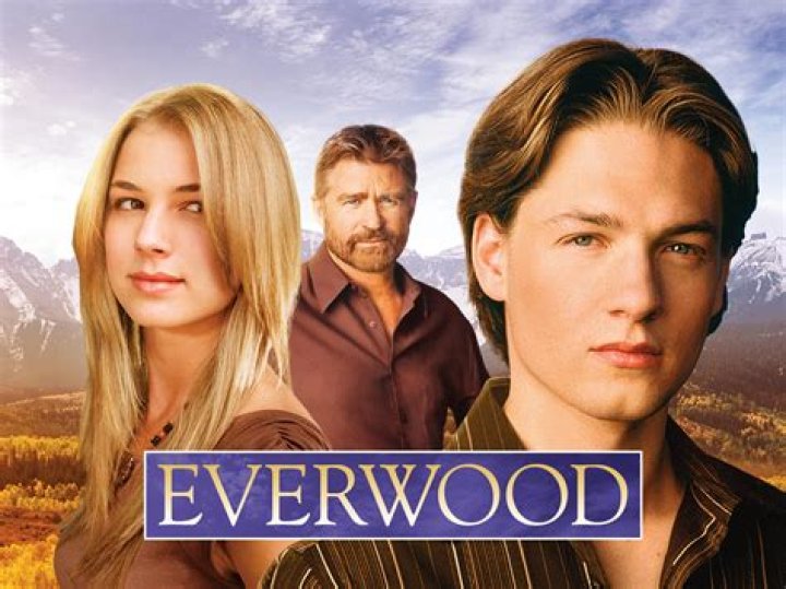 ‘Everwood’ Reunion On ‘Revenge’ — Tom Amandes Guest-Stars With Emily VanCamp – Hollywood Life