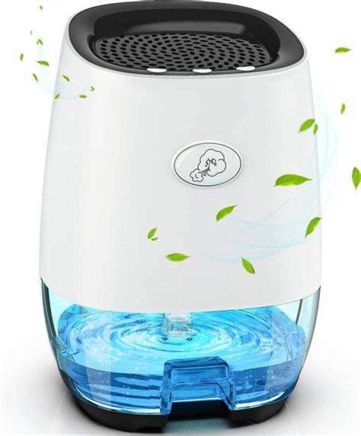 Fight Allergy Season & Breathe Easier With This Dehumidifier That’s On Sale