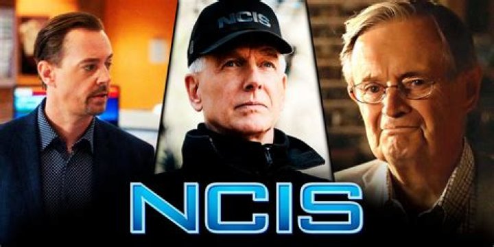Find Out About the ‘NCIS’ Star’s 4 Children – Hollywood Life