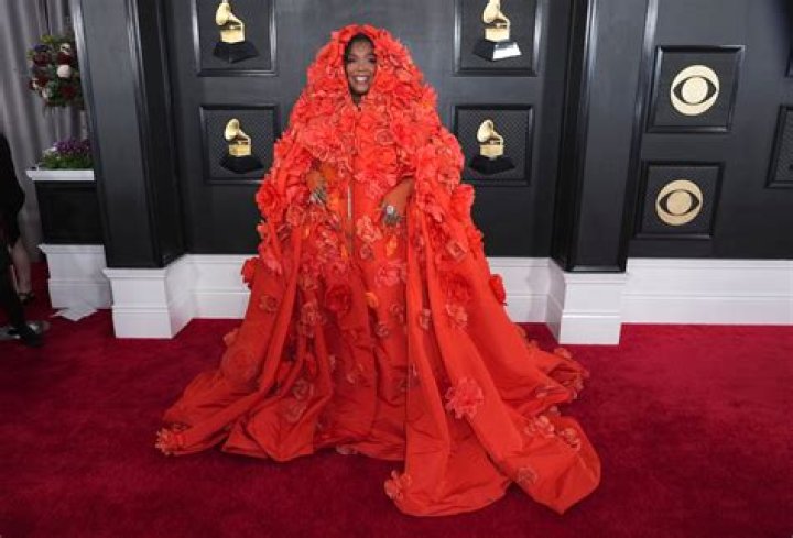 Grammy Awards Red Carpet 2014 — 2014 Grammys Fashion