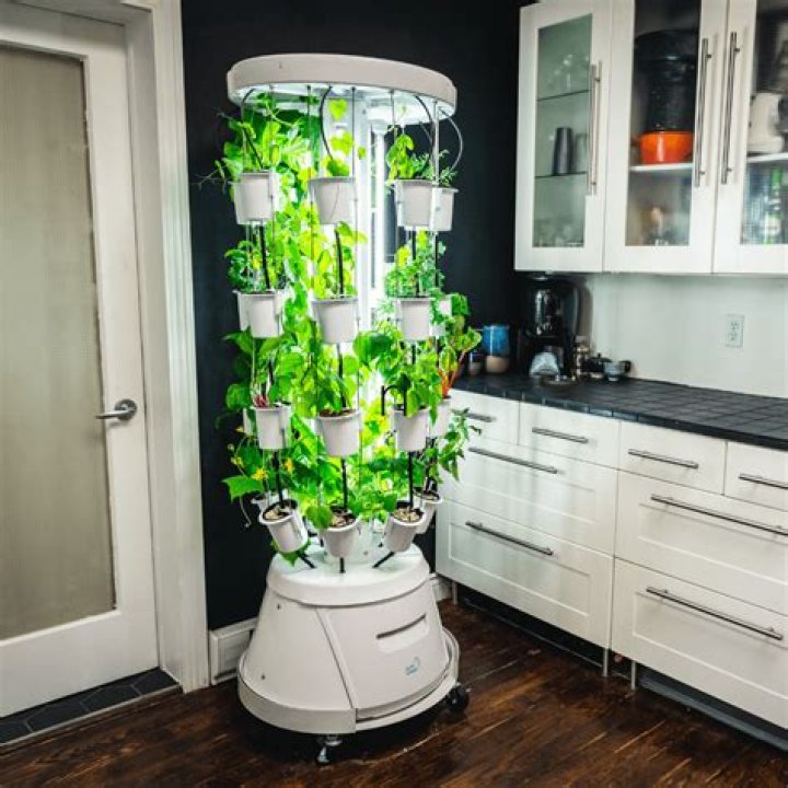 Grow Your Own Herbs Inside Your Home With This $90 Hydroponic Garden That Has Over 5k Reviews