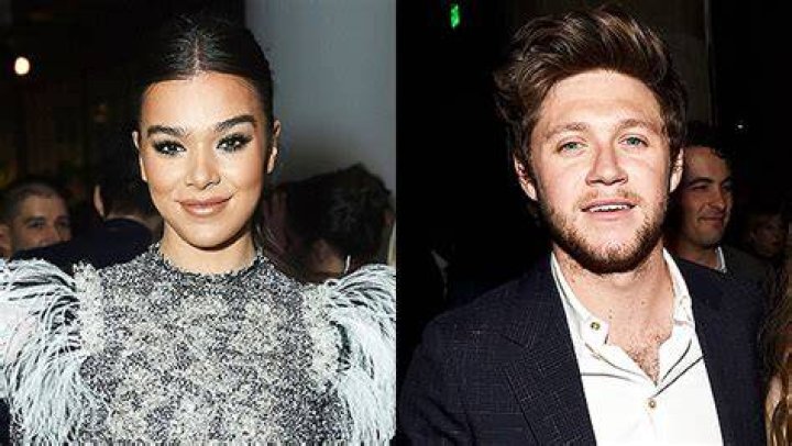 Hailee Steinfeld & Niall Horan: Exes Risk Awkward Run-In As They Both Attend Same Grammys Party