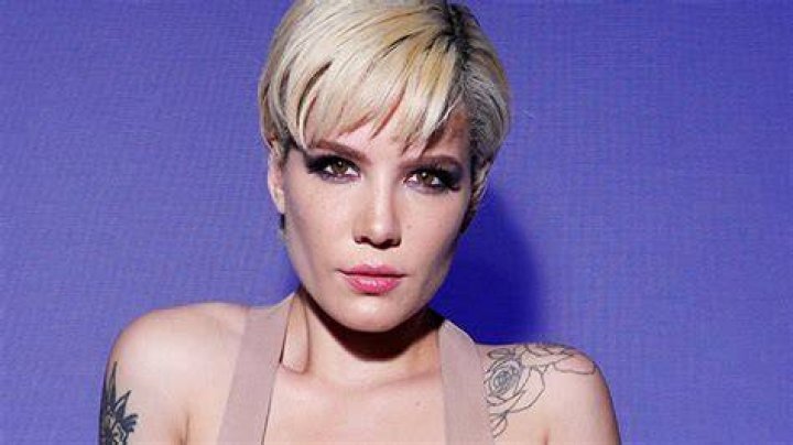 Halsey Defends Her Armpit Hair After An Internet Troll Mocks Her For It — See Epic Response