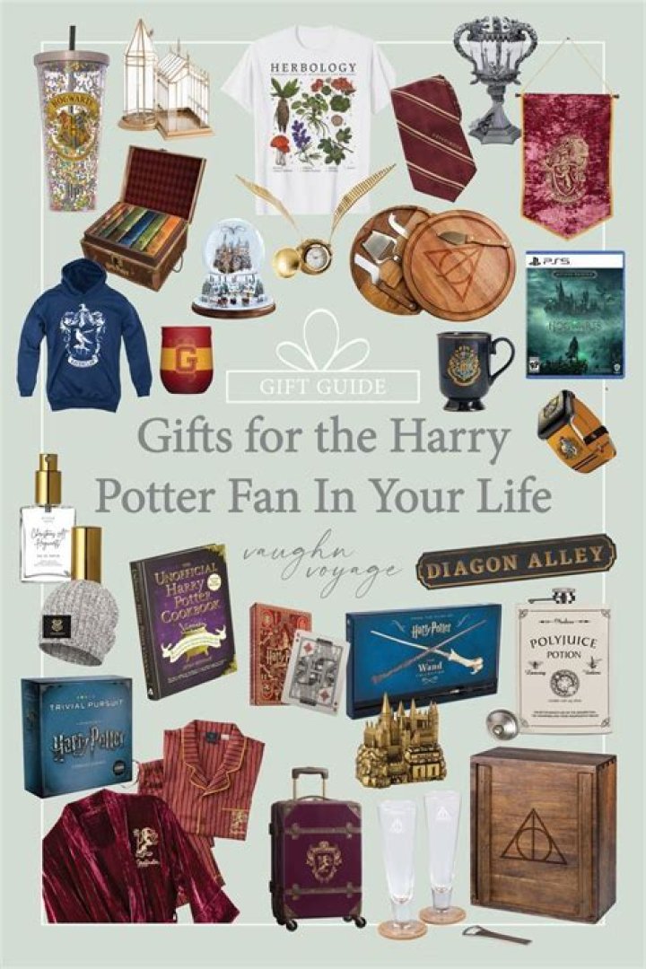 ‘Harry Potter’ Gift Guide 2019: 16 Best Buys For The Wizard In Your Life