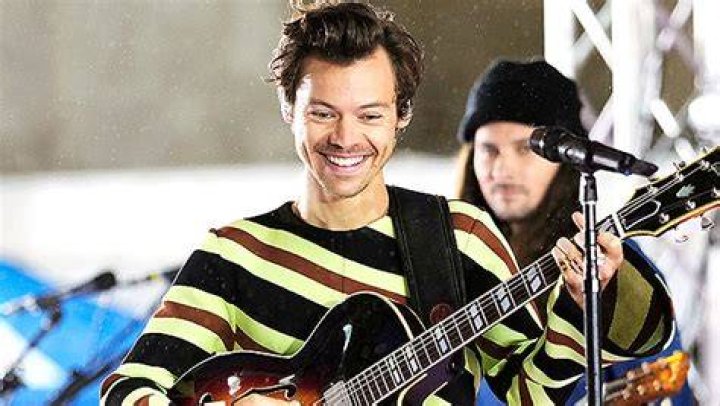 Harry Styles Discusses His Sexuality In Interview With Rolling Stone – Hollywood Life