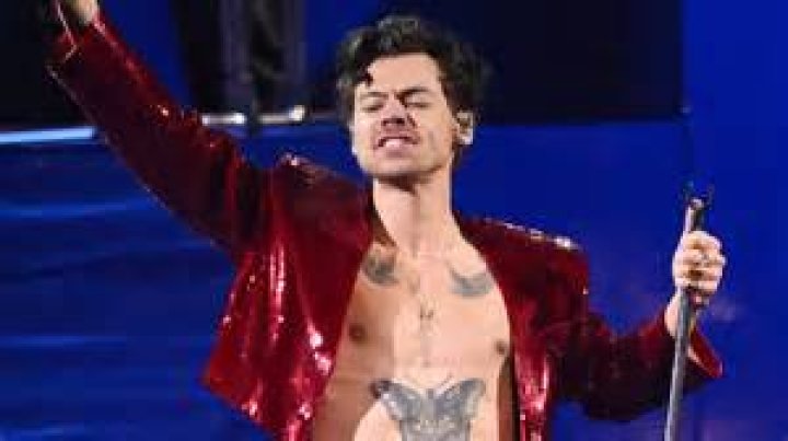 Harry Styles Gets Sexy Lap Dance By Stripper On Birthday — Over Taylor Swift?