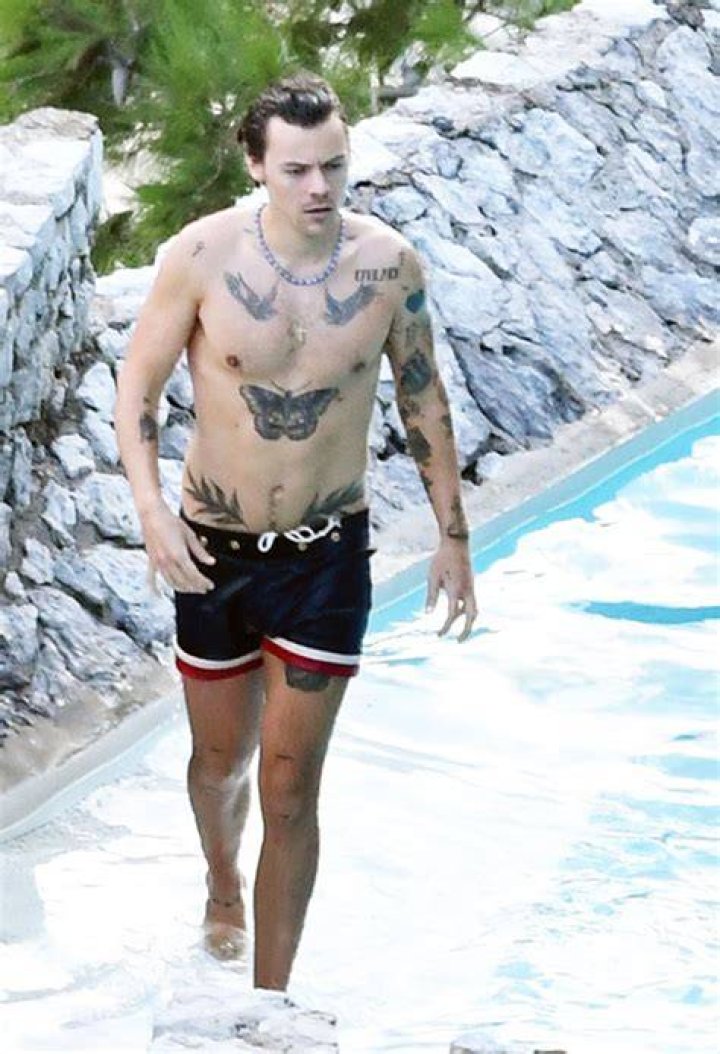 Harry Styles Goes Shirtless During Getaway To The Amalfi Coast: Pic – Hollywood Life
