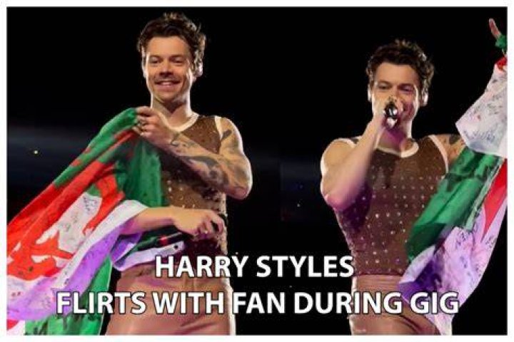 Harry Styles Makes Out With Fan — One Direction-er Loves Older Women – Hollywood Life