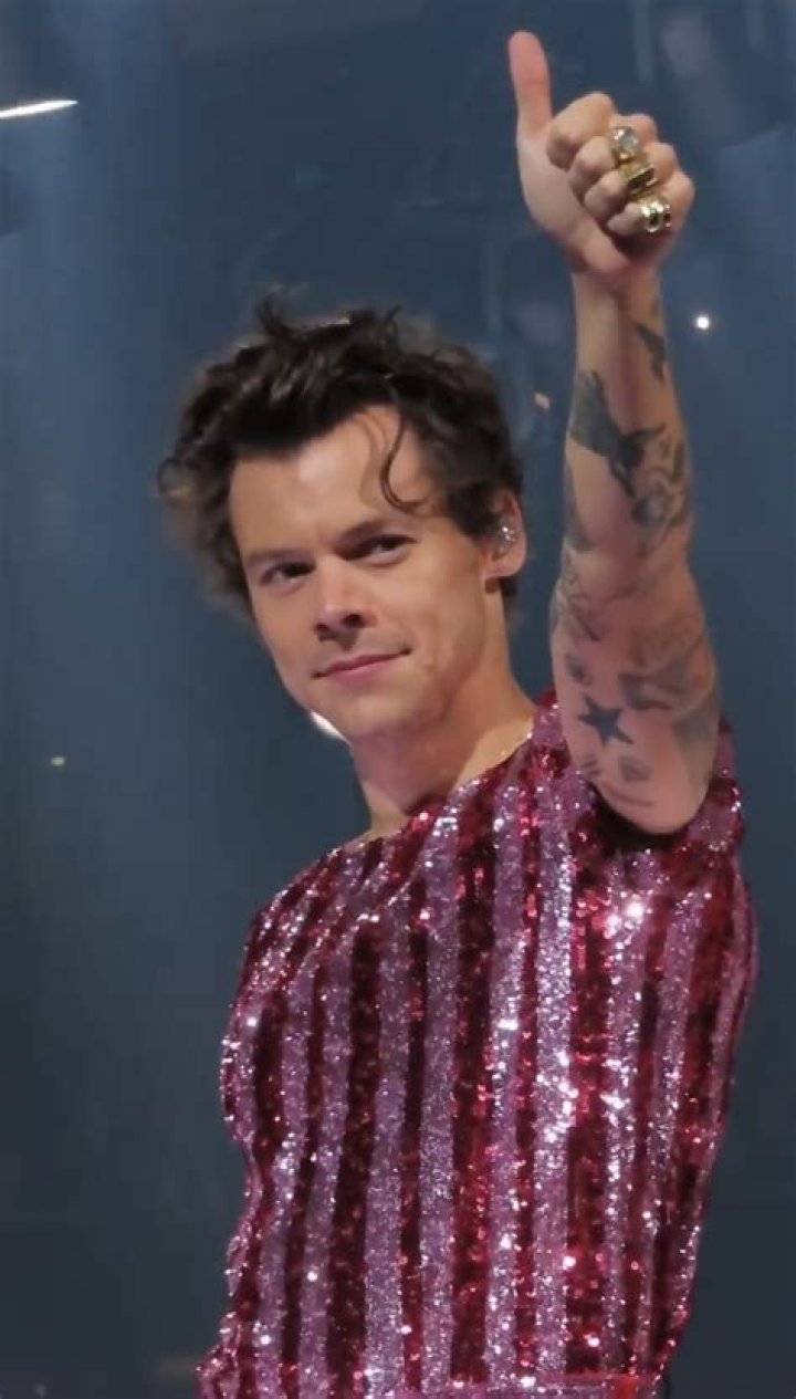 Harry Styles’ ‘Perfect’ Hair — Love Or Loathe His Latest Look? – Hollywood Life