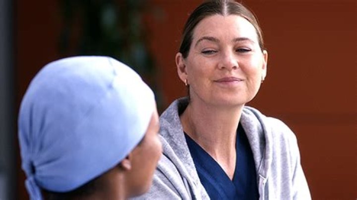How Did Meredith Leave ‘Grey’s Anatomy’? Season 19 Episode 7 Recap – Hollywood Life