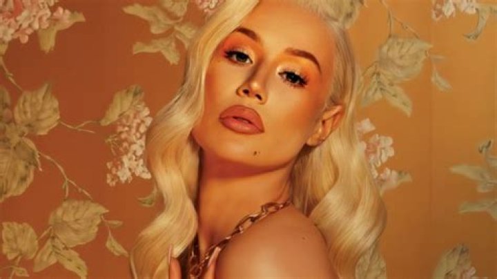 Iggy Azalea Defends Her ‘In My Blood’ Album Cover On Twitter – Hollywood Life