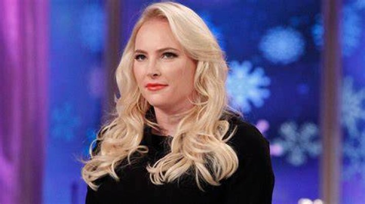 Is Meghan McCain Leaving ‘The View’? She Shuts Down Speculation – Hollywood Life
