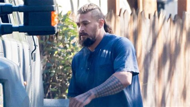 Jason Momoa Spotted Bringing Christmas Tree To Ex Lisa Bonet’s House – Hollywood Life