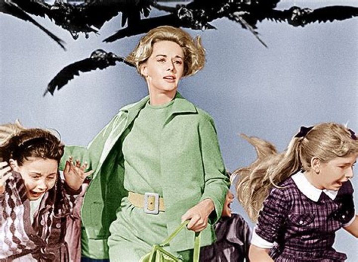 Jessica Chastain Resembles Tippi Hedrin’s ‘The Birds’ Costume: Photos – Hollywood Life