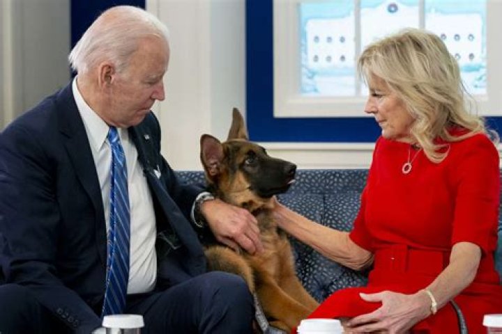 Joe Biden’s Dogs Kicked Out Of White House After Alleged Biting Incident — Report